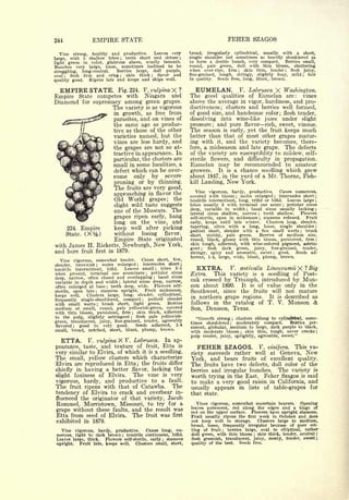 Cyclopedia of Hardy Fruits; by U. P. Hedrick (1922) 