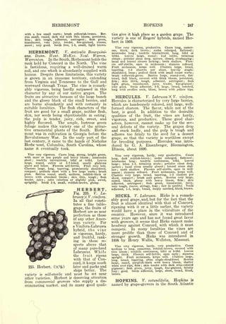 Cyclopedia of Hardy Fruits; by U. P. Hedrick (1922) 