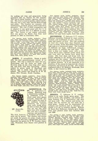 Cyclopedia of Hardy Fruits; by U. P. Hedrick (1922) 