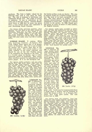 Cyclopedia of Hardy Fruits; by U. P. Hedrick (1922) 