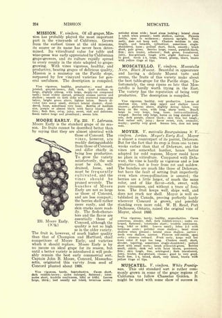 Cyclopedia of Hardy Fruits; by U. P. Hedrick (1922) 