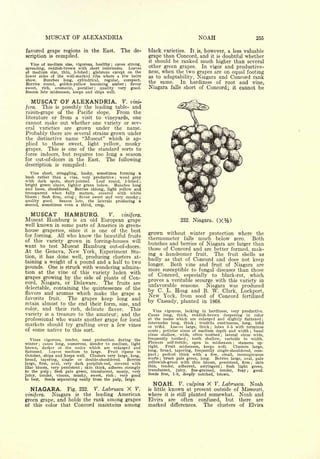 Cyclopedia of Hardy Fruits; by U. P. Hedrick (1922) 