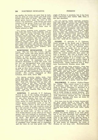 Cyclopedia of Hardy Fruits; by U. P. Hedrick (1922) 