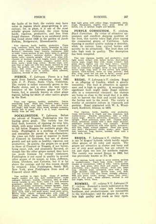 Cyclopedia of Hardy Fruits; by U. P. Hedrick (1922) 