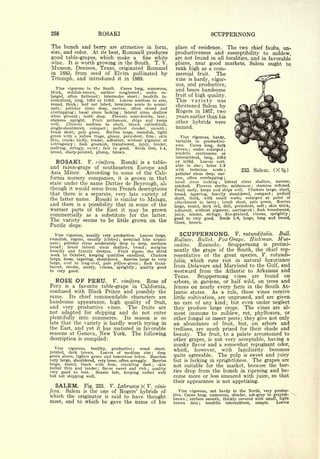 Cyclopedia of Hardy Fruits; by U. P. Hedrick (1922) 