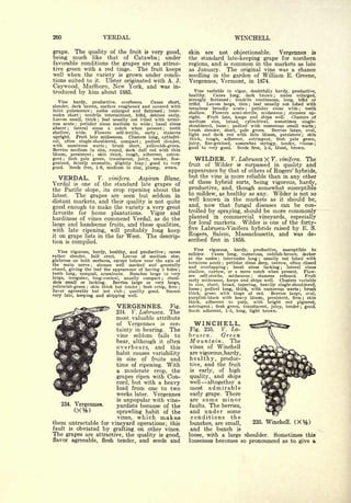 Cyclopedia of Hardy Fruits; by U. P. Hedrick (1922) 