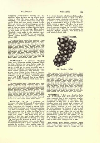 Cyclopedia of Hardy Fruits; by U. P. Hedrick (1922) 
