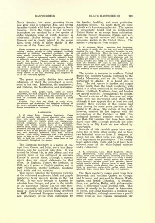 Cyclopedia of Hardy Fruits; by U. P. Hedrick (1922) 