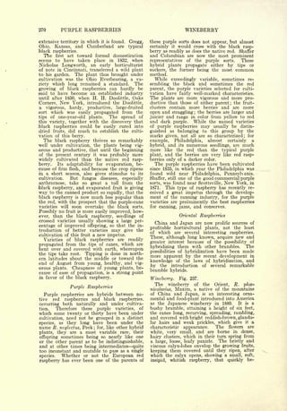 Cyclopedia of Hardy Fruits; by U. P. Hedrick (1922) 