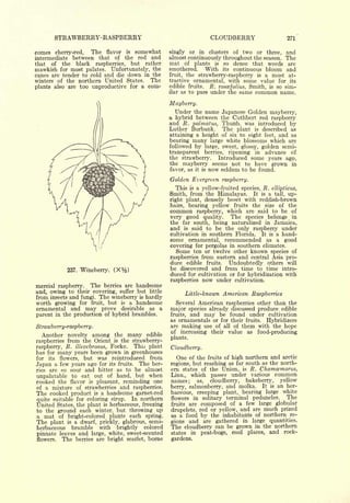 Cyclopedia of Hardy Fruits; by U. P. Hedrick (1922) 