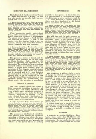 Cyclopedia of Hardy Fruits; by U. P. Hedrick (1922) 