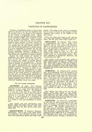 Cyclopedia of Hardy Fruits; by U. P. Hedrick (1922) 