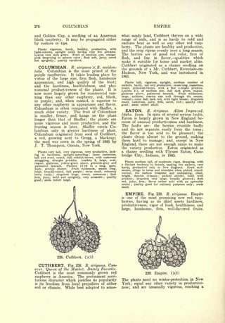 Cyclopedia of Hardy Fruits; by U. P. Hedrick (1922) 