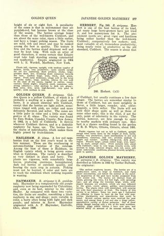 Cyclopedia of Hardy Fruits; by U. P. Hedrick (1922) 