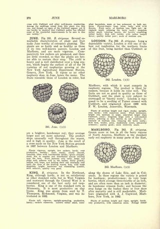 Cyclopedia of Hardy Fruits; by U. P. Hedrick (1922) 