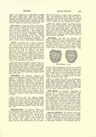 Cyclopedia of Hardy Fruits; by U. P. Hedrick (1922) 