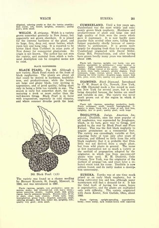 Cyclopedia of Hardy Fruits; by U. P. Hedrick (1922) 