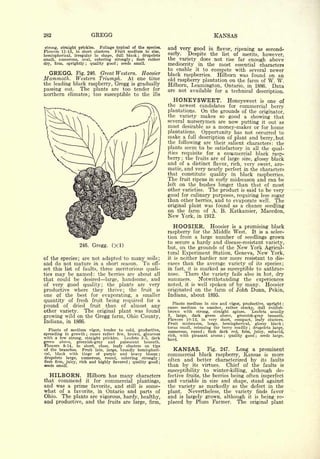 Cyclopedia of Hardy Fruits; by U. P. Hedrick (1922) 