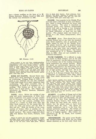 Cyclopedia of Hardy Fruits; by U. P. Hedrick (1922) 