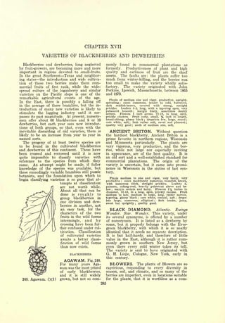 Cyclopedia of Hardy Fruits; by U. P. Hedrick (1922) 