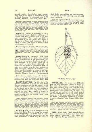 Cyclopedia of Hardy Fruits; by U. P. Hedrick (1922) 