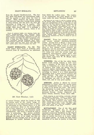 Cyclopedia of Hardy Fruits; by U. P. Hedrick (1922) 