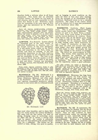 Cyclopedia of Hardy Fruits; by U. P. Hedrick (1922) 