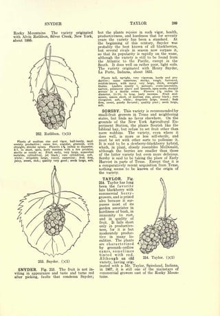 Cyclopedia of Hardy Fruits; by U. P. Hedrick (1922) 