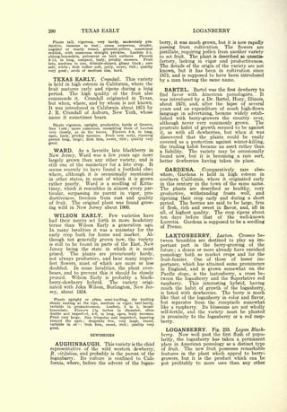 Cyclopedia of Hardy Fruits; by U. P. Hedrick (1922) 