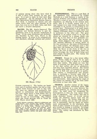 Cyclopedia of Hardy Fruits; by U. P. Hedrick (1922) 