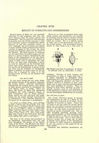 Cyclopedia of Hardy Fruits; by U. P. Hedrick (1922) 