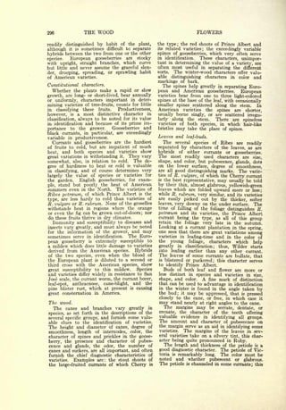 Cyclopedia of Hardy Fruits; by U. P. Hedrick (1922) 