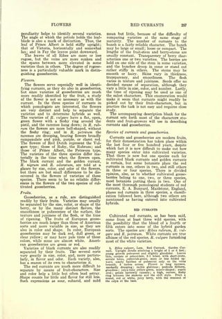 Cyclopedia of Hardy Fruits; by U. P. Hedrick (1922) 