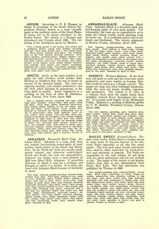 16                                                                                                                                                 BAILEY SWEET

  ANISIM. According to N. E. Hansen, in                                                                                     ARKANSAS BLACK.              Arkansas   Black
charge of pomology at the South Dakota Ex-                                                                                Twig.   Arkansas Black is a beautiful dark red,
periment Station, Anisim is a most valuable                                                                               late-keeping apple of very good quality. Un-
apple in the northern states of the Great Plains.                                                                         fortunately, the trees are so unproductive as to
It seems not to be grown elsewhere in the                                                                                 make the variety hardly worth planting, even
United States. The variety is a Russian sort                                                                              for home use. It is profitably grown only in the
introduced into Canada about 1885. The fol-                                                                               South and Southwest. The variety originated
lowing is the description given by Hansen:                                                                                in Benton County, Arkansas, about 1870.

   "Tree a strong grower in the nursery and orchard and                                                                      Tree    vigorous,   upright-spreading,   open ;  branches
a   prodigious bearer    young trees upright, spreading
                                                   ;
                                                                                                                          long, slender.     Fruit medium or rarely large, uniform
with age limbs long, slender with a very strong shoul-
                          ;                                                                                               in size and shape, nearly round         cavity acute, small,
                                                                                                                                                                         ;

der leaves narrow, pointed, dark green.
      ;
                                           The beautiful                                                                  sometimes lipped, partly russeted       calyx small, closed ;
                                                                                                                                                                         ;

color of the fruit attracts favorable attention.   Fruit                                                                  basin obtuse, shallow, slightly furrowed, faintly cor-
below medium, roundish-conical, slightly angular     sur-                                                                              skin smooth, waxy, yellow covered with a
                                                                                                           ;
                                                                                                                          rugated  ;

face greenish-yellow, covered almost wholly with a beau-                                                                  lively red deepening to almost black on the exposed side ;
tiful dark crimson, with heavy blue bloom    dots white,                                           ;                      dots small, inconspicuous ; calyx-tube conical       stamens
                                                                                                                                                                                     ;

minute cavity regular, acute, usually slightly russeted ;
                      ;
                                                                                                                          marginal ;    core small, abaxile, closed or partly open ;
stem medium      basin narrow, very shallow, corrugated,
                                  ;                                                                                       core-lines clasping ;    carpels concave, roundish, emar-
sometimes flat calyx closed. Core closed, clasping tube
                                  ;                                                                        ;
                                                                                                                          ginate ; seeds plump, short, obtuse, dark brown         flesh  ;

short,  broad stamens median flesh greenish- white, with
                              ;                                       ;                                                   yellow, firm, fine-grained, crisp, juicy, sprightly subacid ;
green veins, good     early winter."       ;                                                                              good to very good December to April or later.
                                                                                                                                                     ;




     ARCTIC.                              Arctic, as the name implies,
                                            an                                                                 is           BABBITT. Western Baldwin. If the fruit
apple for cold                               climates, much hardier
                                          than                                                                            were not quite so acid, and the trees were more
Baldwin or Northern Spy, but not so hardy as                                                                              productive and more regular in bearing, Bab-
several of the Russian apples. The trees are                                                                              bitt would be rated as a valuable variety. The
vigorous, healthy, and usually productive; but                                                                            apples are large and often strikingly handsome,
the       fruit,              while pleasing in appearance,                                                is       far   while the trees are hardy, healthy, vigorous,
from good in quality. Arctic originated as a                                                                              and productive. The variety is of value as
seedling on the farm of John H. Esseltyne,                                                                                a culinary fruit, since the apples retain their
Cape Vincent, New York, about 1862.                                                                                       sprightly subacid flavor throughout late win-
     Treea moderate grower, spreading and open, with                                                                      ter.  It is grown most largely in the Mississippi
long,  stout branches.  Leaves large, dark green, broad                                                                   Valley. Babbitt is a seedling of Baldwin grown
             Fruit large, oblate, sometimes round-conic,
and       thick.
often faintly ribbed, uniform in size and shape ; stem
                                                                                                                          by C. W. Babbitt, Woodford County, Illinois,
short and thick ; cavity shallow, broad, usually sym-
                                                                                                                          about 1845.
metrical or furrowed and having outspreading rays of
red or green-russet ; calyx large, segments broad, ob-
                                                                                                                             Tree very vigorous, spreading, open ; branches stout,
               basin abrupt, wide and deep, often com-                                                                    often crooked.   Leaves large, broad, dark green, thick.
tuse, closed                  ;
                                                                                                                          Fruit large, round-oblate, angular and irregular; stem
pressed or furrowed and corrugated skin smooth, slightly                  ;
                                                                                                                          short ; cavity obtuse to acute, shallow, broad, russeted ;
roughened   by light russet or white dots, deep yellow                                                                                   basin abrupt, deep, furrowed, corrugated ;
almost wholly covered with bright red obscuring stripes                                                                   calyx closed     ;



                                                stamens me                                                                skin bright, pale yellow with mottled red cheek, striped
of deeper red     calyx -tube short, conical
                                      ;                                                    ;


        core medium, axile    cells closed or partly open
                                                                                                                          with bright carmine ; calyx-tube conical ; stamens me-
dian      ;                                                   ;

                                        round to obcordate                                                                dian ; core small, axile, closed ; core-lines clasping car-        ;
core-lines clasping   carpels broadly          ;

                      seeds often abortive, large, flat, ob                                                               pels broad, round, truncate ; seeds dark brown, small ;
emarginate, tufted                             ;
                                                                                                                          flesh yellow,  fine-grained, crisp, juicy, sprightly sub-
tuse, sometimes tufted, dark      flesh yellow, firm, coarse,     ;
                                                                                                                          acid ; good to very good ; November to May.
crisp, juicy, mild subacid    good in quality October to      ;                                        ;


February.
                                                                                                                                BAILEY SWEET.                        Howard's Sweet.             De-
      ARKANSAS. Mammoth                       Ar-                                 Black Twig.                             spite many faults, Bailey Sweet is largely grown
kansas Black. Arkansas is a large, dull, deep                                                                             in many
                                                                                                                                   parts of America because of its rich,
red, striped, late-keeping winter-apple of good                                                                           sweet fruits agreeable to all who like sweet
quality, much grown in the South and South-                                                                               apples. The trees lack vigor, health, and hardi-
west. In the North the fruits are usually small,                                                                          ness,   defects offset somewhat by productive-
poorly colored, and otherwise undeveloped.                                                                                ness and regularity in bearing. The fruits are
North and South, the trees are unproductive.                                                                              susceptible to the scab fungus, do not keep
Arkansas was grown from a seed planted in                                                                                 well, are often malformed, and are not uniform
1833 near Rhea Mills, Arkansas. It resembles                                                                              in size. The origin of the variety is not known,
Winesap, of which it may be a seedling, and                                                                               further than that it was disseminated from
Paragon, to which it is similar. It is often con-                                                                         Perry, New York.   The first description was
fused with Arkansas Black because of similarity                                                                           published by Thomas in 1849.
in name.
                                                                                                                             Tree upright-spreading, open branches slender. Leaves
                                                                                                                                                                     ;



      Tree large, vigorous, upright-spreading branches large,                          ;                                  large.   Fruit large, round-conic, or oblate, ribbed ob-
    crooked, stout, open.  Fruit large, uniform in size, round                                                            scurely, symmetrical, sides elliptical, uniform in size
    to conic, sometimes oblate, broadly ribbed, uniform in                                                                and shape    ;
                                                                                                                                        stem short    cavity acute, deep, furrowed,
                                                                                                                                                             ;



    shape    stem long or short, stout
                  ;                       cavity acute, wide,                 ;
                                                                                                                          sometimes with sides compressed or lipped, often with
    medium in depth, green, often much russeted, sometimes                                                                thin golden-brown russet     calyx closed, small with short
                                                                                                                                                                 ;


                                         closed  basin abrupt,                                                            obtuse lobes    basin shallow, narrow, obtuse, furrowed
    indistinctly furrowed   calyx small,               ;                                       ;                                               ;


    wide, deep, broadly furrowed or wavy skin smooth, dull                         ;
                                                                                                                          or corrugated, often with mammiform protuberances                        ;

                                                              a                                                           skin tender, smooth, clear bright yellow covered with
    green, often becoming deep yellow, overspread with
    dull deep red, obscurely striped with darker red       dots                                                ;          deep red, mottled or striped with darker red, often with
    small, russet, inconspicuous     calyx-tube  conical   sta-
                                                                      ;
                                                                                                               ;
                                                                                                                    _
                                                                                                                          irregularly netted markings and dots      calyx-tube funnel-
                                                                                                                                                                                 ;



    mens median     core axile, closed ; core-lines clasping ;
                                      ;
                                                                                                                          shape, wide limb     stamens median
                                                                                                                                                    ;
                                                                                                                                                                   core axile, closed
                                                                                                                                                                             ;                     ;

                                                                                                                          core-lines clasping                                    seeds
    carpels broadly ovate, deeply emarginate, tufted ; seeds                                                                                     carpels elliptic, emarginate
                                                                                                                                                         ;                               ;


    few, variable, long, narrow, acute, tufted ; flesh yellow,                                                             large, long, acute ; flesh yellow, firm, coarse, crisp, ten-
    very firm, fine-grained, tender, juicy, subacid, crisp ;                                                               der, juicy, sweet, agreeable in flavor ; very good in
    good      ;           December         to          May.                                                                quality ; October to January or later.
 