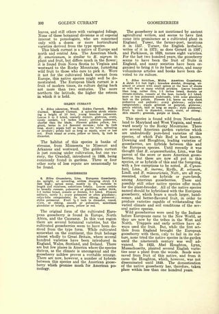 Cyclopedia of Hardy Fruits; by U. P. Hedrick (1922) 