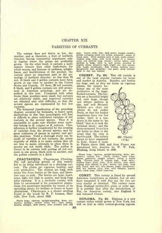 Cyclopedia of Hardy Fruits; by U. P. Hedrick (1922) 