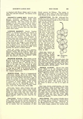 Cyclopedia of Hardy Fruits; by U. P. Hedrick (1922) 