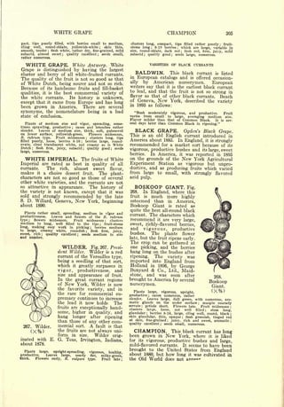 Cyclopedia of Hardy Fruits; by U. P. Hedrick (1922) 