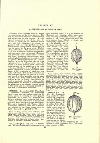 Cyclopedia of Hardy Fruits; by U. P. Hedrick (1922) 