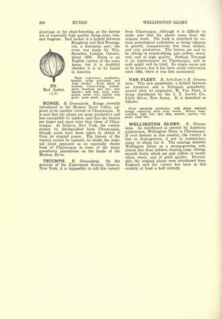 Cyclopedia of Hardy Fruits; by U. P. Hedrick (1922) 