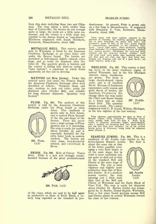 Cyclopedia of Hardy Fruits; by U. P. Hedrick (1922) 
