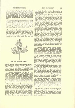 Cyclopedia of Hardy Fruits; by U. P. Hedrick (1922) 