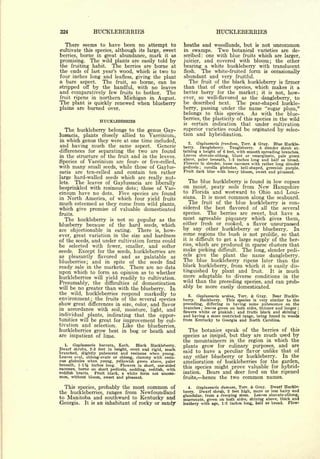 Cyclopedia of Hardy Fruits; by U. P. Hedrick (1922) 