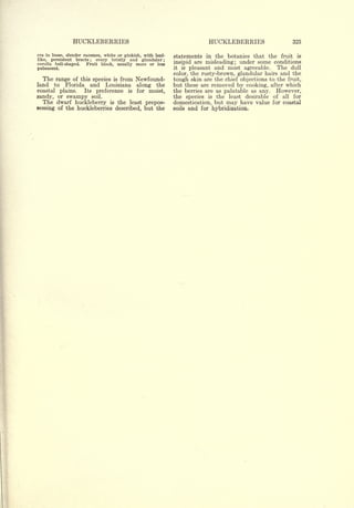 Cyclopedia of Hardy Fruits; by U. P. Hedrick (1922) 