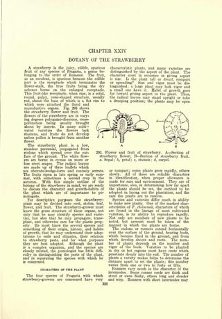 Cyclopedia of Hardy Fruits; by U. P. Hedrick (1922) 