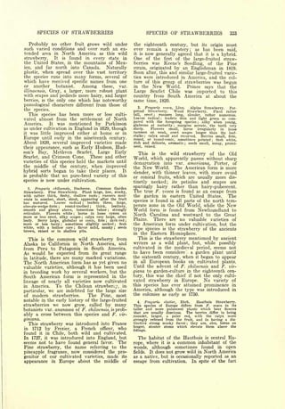 Cyclopedia of Hardy Fruits; by U. P. Hedrick (1922) 