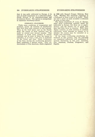 Cyclopedia of Hardy Fruits; by U. P. Hedrick (1922) 