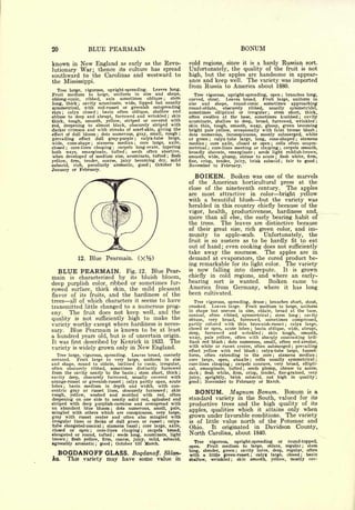 20                              BLUE PEARMAIM                                                                                                    BONUM
known               in       New England                          as early as the Revo-                         cold regions, since it is a hardy Russian sort.
lutionary                    War; thence                         its culture has spread                         Unfortunately, the quality of the fruit is not
southward to the Carolinas and westward to                                                                      high, but the apples are handsome in appear-
the Mississippi.                                                                                                ance and keep well. The variety was imported
                                                                                                                from Russia to America about 1880.
   Tree large, vigorous, upright-spreading.    Leaves long.
Fruit medium to large, uniform in size and shape,                                                                  Tree vigorous, upright-spreading, open branches long,         ;


oblong-conic,   ribbed,   axis  sometimes oblique      stem                                     ;
                                                                                                                curved,   stout.   Leaves broad.    Fruit large, uniform in
long, thick    cavity acuminate, wide, lipped but usually
                         ;                                                                                      size  and shape, round-conic sometimes approaching
symmetrical, with red-russet     or greenish outspreading                                                       round-oblate,    obscurely   ribbed,   usually   symmetrical,
rays  ; calyx closed    basin often oblique, shallow and
                                             ;                                                                  sometimes elliptical or irregular        stem short, thick,
                                                                                                                                                             ;


obtuse to deep and abrupt, furrowed and wrinkled skin                                                   ;       often swollen at the base, sometimes knobbed            cavity                     ;



thick, tough, smooth, yellow, striped or covered with                                                           acuminate, shallow to deep, broad, furrowed, wrinkled                                   ;

red, deepening to almost black, obscurely striped with                                                          skin thin, tough, smooth, waxy, glossy, green becoming
darker crimson and with streaks of scarf-skin, giving the                                                       bright pale yellow, occasionally with faint bronze blush                                ;

effect of dull bloom    dots numerous, gray, small, rough
                                             ;                                                              ;   dots numerous, inconspicuous, mostly submerged, white
prevailing effect dull gray-purple; calyx-tube large,                                                           or green     calyx-tube large, long, cone-shaped
                                                                                                                                   ;
                                                                                                                                                                      stamens                  ;

wide, cone-shape     stamens median  ;
                                          core large, axile,               ;                                    median core axile, closed or open cells often unsym-
                                                                                                                           ;                                     ;

closed   core-lines clasping
              ;                carpels long-ovate, tapering ;                                                   metrical    core-lines meeting or clasping
                                                                                                                               ;                              carpels smooth,;

both ways, emarginate, tufted         seeds often abortive,            ;
                                                                                                                broadly obovate, emarginate       seeds light reddish-brown,
                                                                                                                                                     ;

when developed of medium size, acuminate, tufted flesh                                              ;           smooth, wide, plump, obtuse to acute flesh white, firm,  ;


yellow, firm, tender, coarse, juicy becoming dry, mild                                                          fine, crisp, tender, juicy, brisk subacid      fair to good      ;                      ;

subacid, rich, peculiarly aromatic, good ; October to                                                           November to February.
January or February.
                                                                                                                     BOIKEN.                 Boiken was one of the marvels
                                                                                                                of     the             American horticultural press at the
                                                                                                                close of the nineteenth century. The apples
                                                                                                                are most attractive in color bright yellow
                                                                                                                with a beautiful blush but the variety was
                                                                                                                heralded in this country chiefly because of the
                                                                                                                vigor,         health,      productiveness, hardiness and,
                                                                                                                more than                        the early bearing habit of
                                                                                                                                         all else,
                                                                                                                the trees.               The leaves are distinctive because
                                                                                                                of their great size, rich green color, and im-
                                                                                                                munity to apple-scab.       Unfortunately, the
                                                                                                                fruit is so austere as to be hardly fit to eat
                                                                                                                out of hand; even cooking does not sufficiently
                                                                                                                take away the sourness. The apples are in
                         12.    Blue Pearmain.                                                                  demand at evaporators, the cured product be-
                                                                                                                ing remarkable for its light color. The variety
     BLUE PEARMAIN.                                                    Fig. 12.          Blue Pear-             is     now
                                                                                                                        falling into disrepute.  It                                       is grown

main       characterized by its bluish bloom,
                   is                                                                                           chieflyin cold regions, and where                                         an early-
                                                                                                                bearing sort is wanted.     Boiken                                            came     to
deep purplish color, ribbed or sometimes fur-
rowed surface, thick skin, the mild pleasant                                                                    America from Germany, where                                          it       has long
flavor of its fruits, and the hardiness of the                                                                  been cultivated.
trees all of which characters it seems to have                                                                     Tree vigorous, spreading, dense ; branches short, stout,
transmitted little changed to a numerous prog-                                                                  crooked.    Leaves large. Fruit medium to large, uniform
                                                                                                                in shape but uneven in size, oblate, broad at the base,
eny. The fruit does not keep well, and the                                                                      conical, often ribbed, symmetrical ; stem long ; cavity
quality is not sufficiently high to make the                                                                    obtuse, very broad, furrowed, sometimes compressed,
variety worthy except where hardiness is neces-                                                                 partly colored with thin brownish-russet ; calyx large,
                                                                                                                closed or open, acute lobes ; basin oblique, wide, abrupt,
sary. Blue Pearmain is known to be at least                                                                     deep,   furrowed and wrinkled         skin tough,
                                                                                                                                                         ;           smooth,
a hundred years old, but is of uncertain origin.                                                                waxy, pale yellow, often with sharply contrasting bril-
It was first described by Kenrick in 1833. The                                                                  liant red blush ; dots numerous, small, often red-areolar,

variety             is   widely grown only in                                  New       England.
                                                                                                                with white or russet center, often submerged prevailing
                                                                                                                effect yellow with red blush ; calyx-tube large, funnel-
                                                                                                                                                                                          ;




   Tree large, vigorous, spreading. Leaves broad, coarsely                                                      form, often extending to the core         stamens median
                                                                                                                                                                     ;                                  ;


serrated.   Fruit large to very large, uniform in size                                                          core large, open, abaxile ; cells usually symmetrical                                   ;


and shape, round to oblate, inclined to conic, irregular,                                                       core-lines clasping    carpels concave, very broad, ellipti-
                                                                                                                                             ;

often obscurely ribbed, sometimes distinctly furrowed                                                           cal, emarginate, tufted ; seeds plump, obtuse to acute,
from the cavity nearly to the basin stem short, thick                      ;                                ;   dark   ;
                                                                                                                        flesh white, firm, crisp, tender, fine-grained, very
cavity deep, obscurely furrowed, usually covered with                                                           juicy, sprightly, brisk subacid, not high in quality ;
orange-russet or greenish-russet calyx partly open, acute          ;                                            good ; November to February or March.
lobes    basin medium in depth and width, with con-
          ;

centric gray or russet lines, obscurely furrowed
rough, yellow, washed and mottled with red, often
                                                        skin                                        ;
                                                                                                                     BONUM.     Magnum Bonum. Bonum is a
deepening   on one side to nearly solid red, splashed and                                                       standard variety in the South, valued for its
striped with deep purplish-carmine and overspread with                                                          productive trees and the high quality of its
an abundant blue bloom
                                                                                                                apples, qualities which it attains only when
                               dots numerous, small, pale,
                                                        ;


mingled with others which are conspicuous, very large,
gray   with russet center and often also mingled with                                                           grown under favorable conditions. The variety
irregular lines or flecks of dull green or russet     calyx-                                    ;               is of little value north of the Potomac and
tube elongated-conical     stamens basal core large, axile,
closed or open        core-lines clasping
                                                  ;                            ;
                                                                                                                Ohio.    It  originated in Davidson County,
                                 ;           carpels broad,                        ;

elongated or round, tufted      seeds long, acuminate, light;
                                                                                                                North Carolina, about 1840.
brown         ;    flesh      yellow, firm,                     coarse,    juicy,       mild,   subacid,
                                                                                                                  Tree vigorous,    upright-spreading    or  round-topped,
agreeably aromatic                               good           October    till        March.
                                                                                                                        Fruit medium to large, oblate, regular ; stem
                                         ;              ;
                                                                                                                open.
                                                                                                                long, slender, green ; cavity larsre, deep, regular, often
  BOGDANOFF GLASS.                                                         Bogdanoff.                           with a little green-russet ; calyx large, closed ; basin
ka.               This variety                        may have some                 value in                    shul'ow, wrinkled     skin smooth, yellow, mostly cov-
                                                                                                                                             ;
 