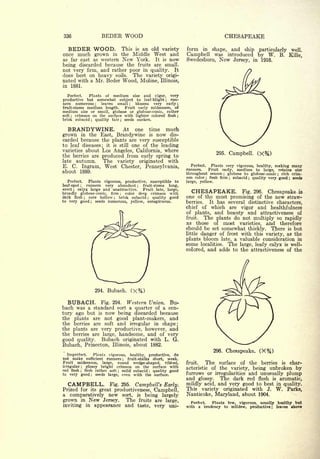 Cyclopedia of Hardy Fruits; by U. P. Hedrick (1922) 