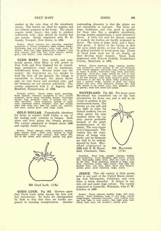Cyclopedia of Hardy Fruits; by U. P. Hedrick (1922) 